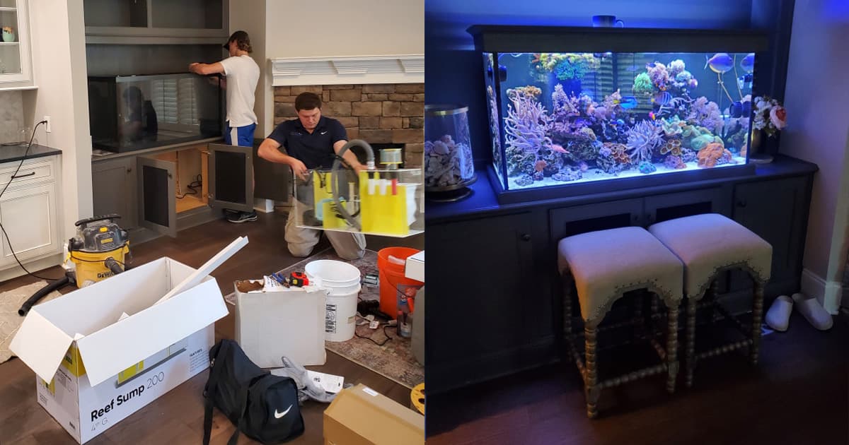 Aquarium system created for Aquarium Installation