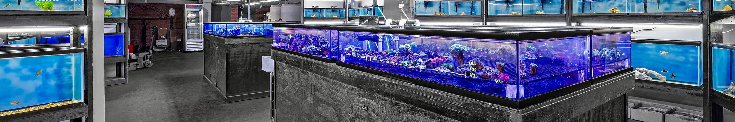 Front entrance of our newly reopened store