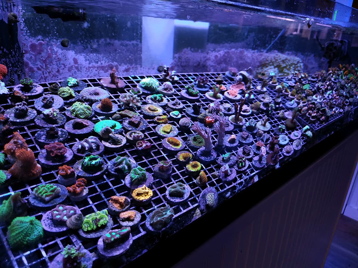 Front entrance of our newly reopened store