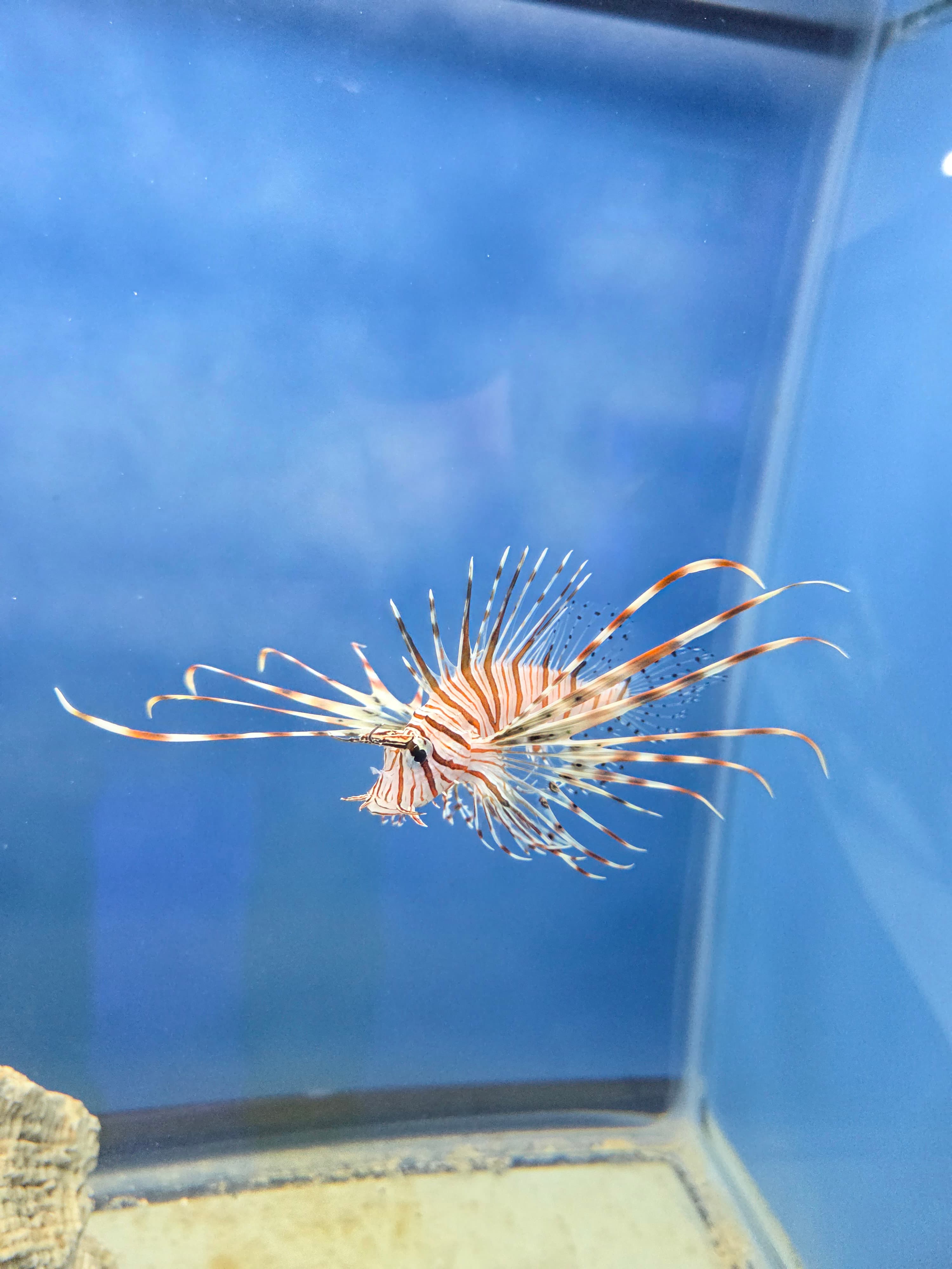 Front entrance of our newly reopened store