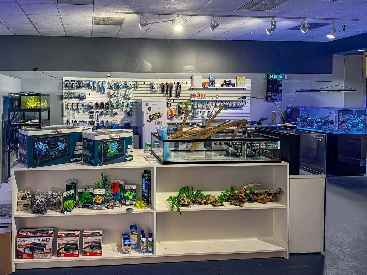 Aquarium food, filtration products, and accessories on store shelves