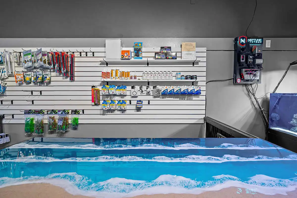 Freshwater and saltwater aquarium products available in the store