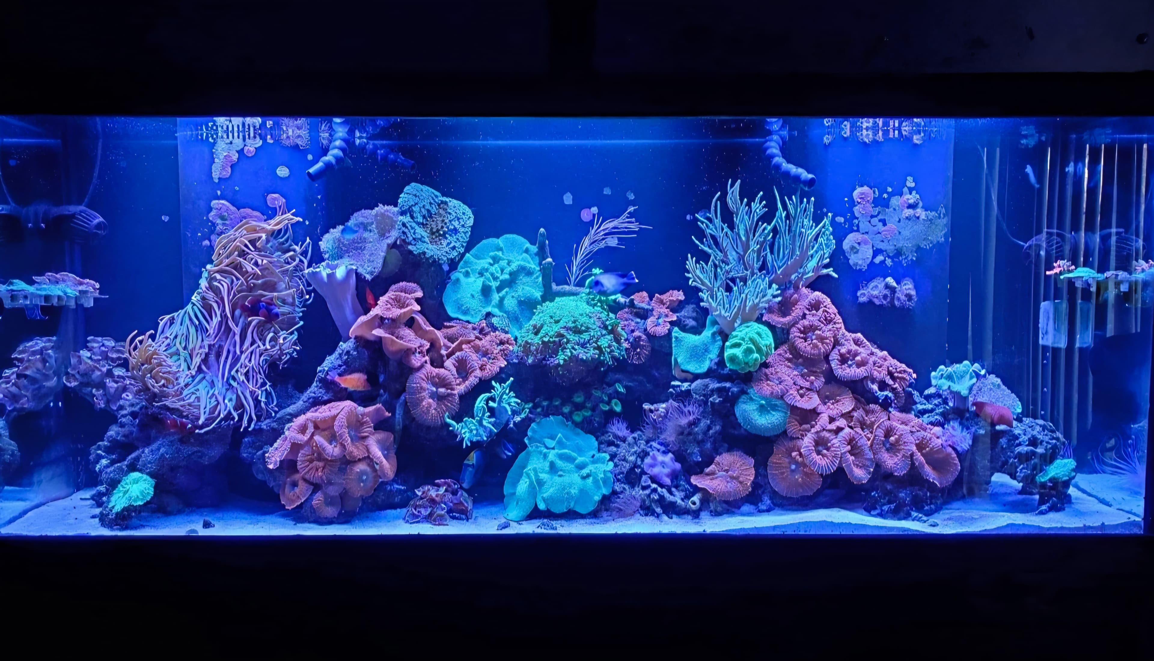 Front entrance of our newly reopened store