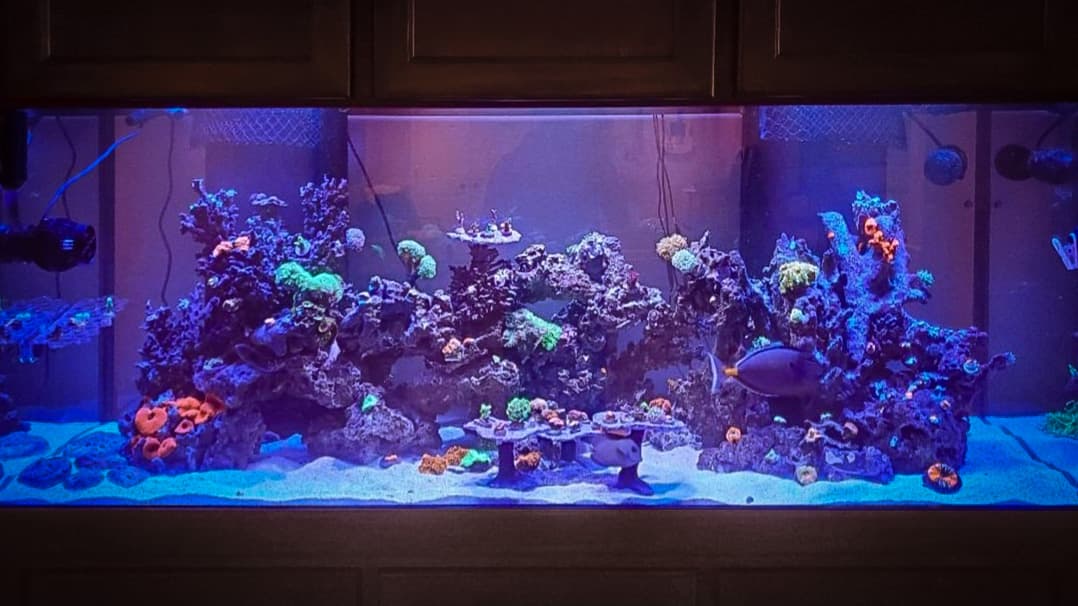 Front entrance of our newly reopened store