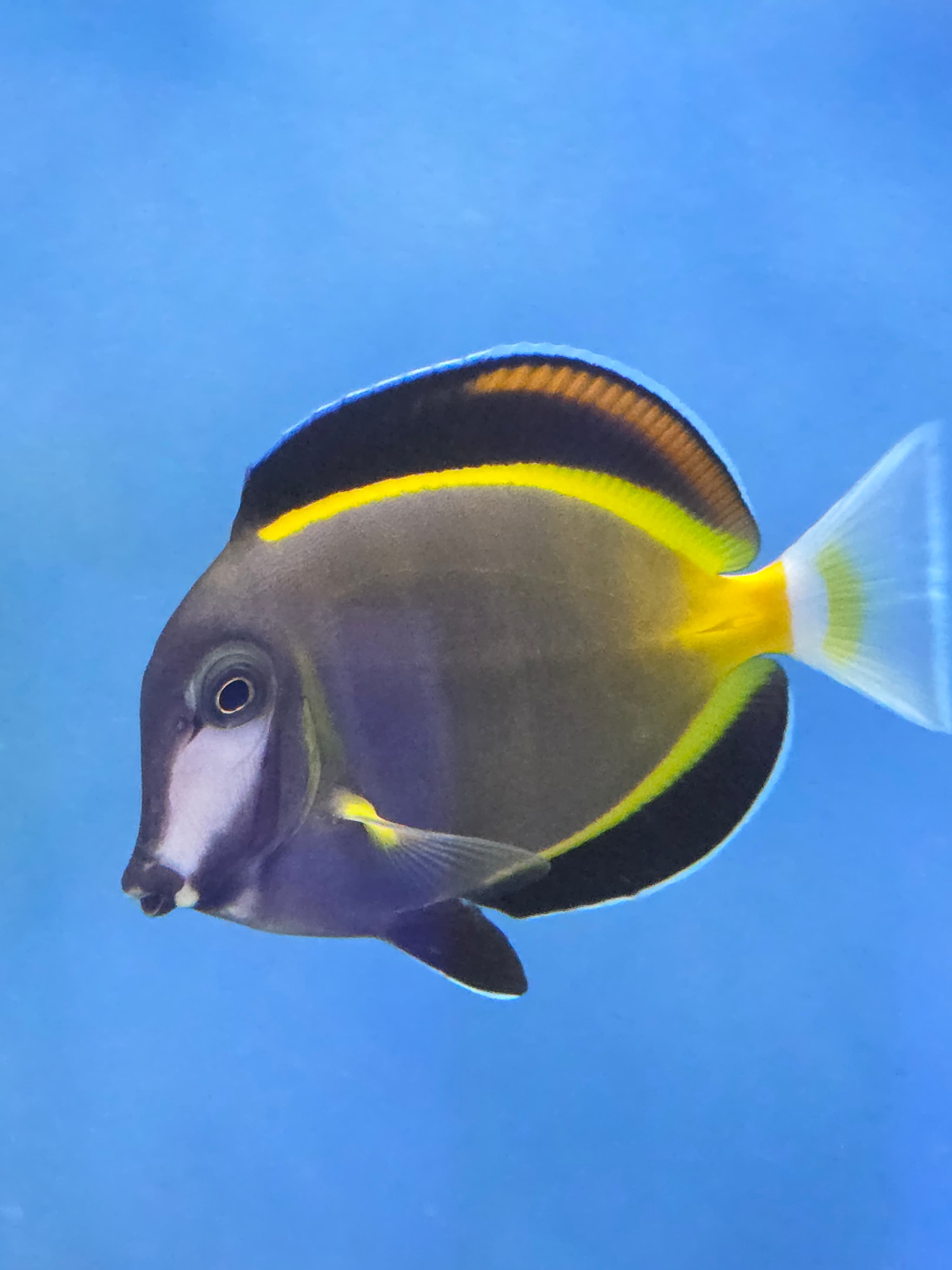 Front entrance of our newly reopened store