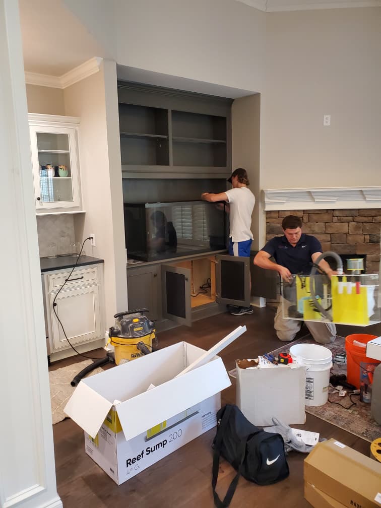 Aquarium Installation & Upgrades