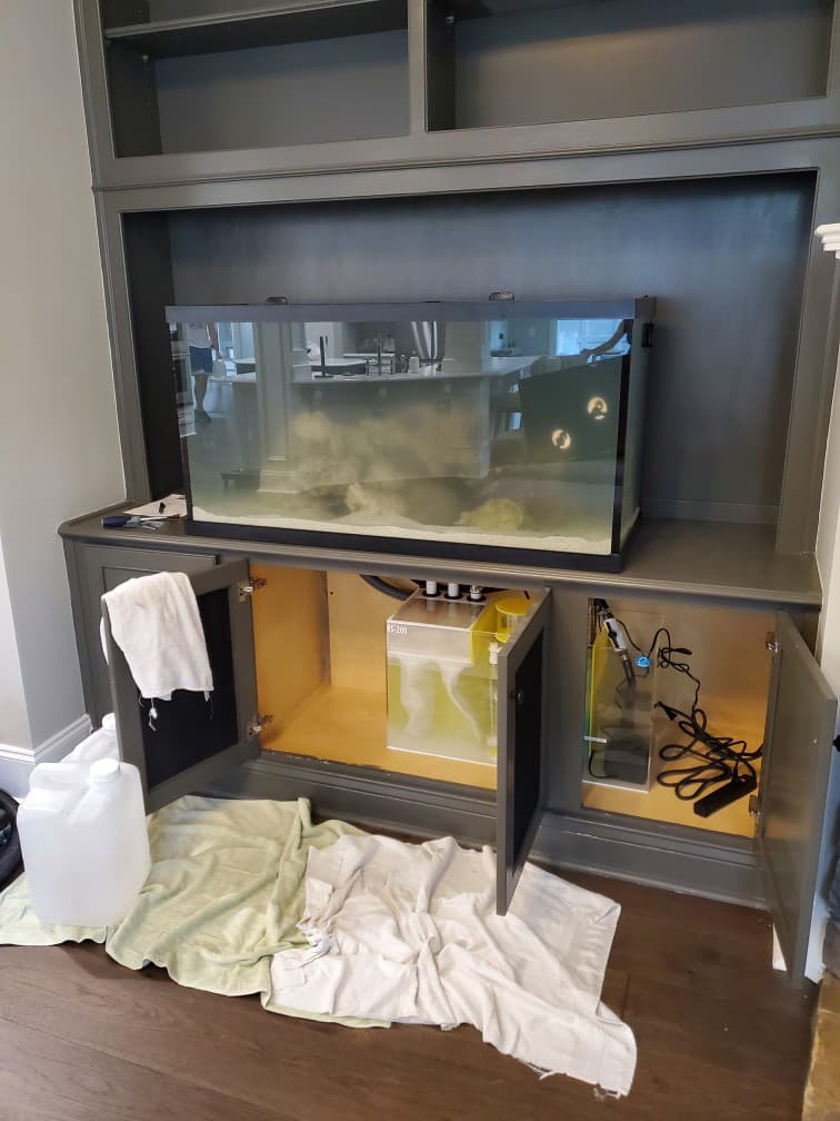 Aquarium Installation & Upgrades