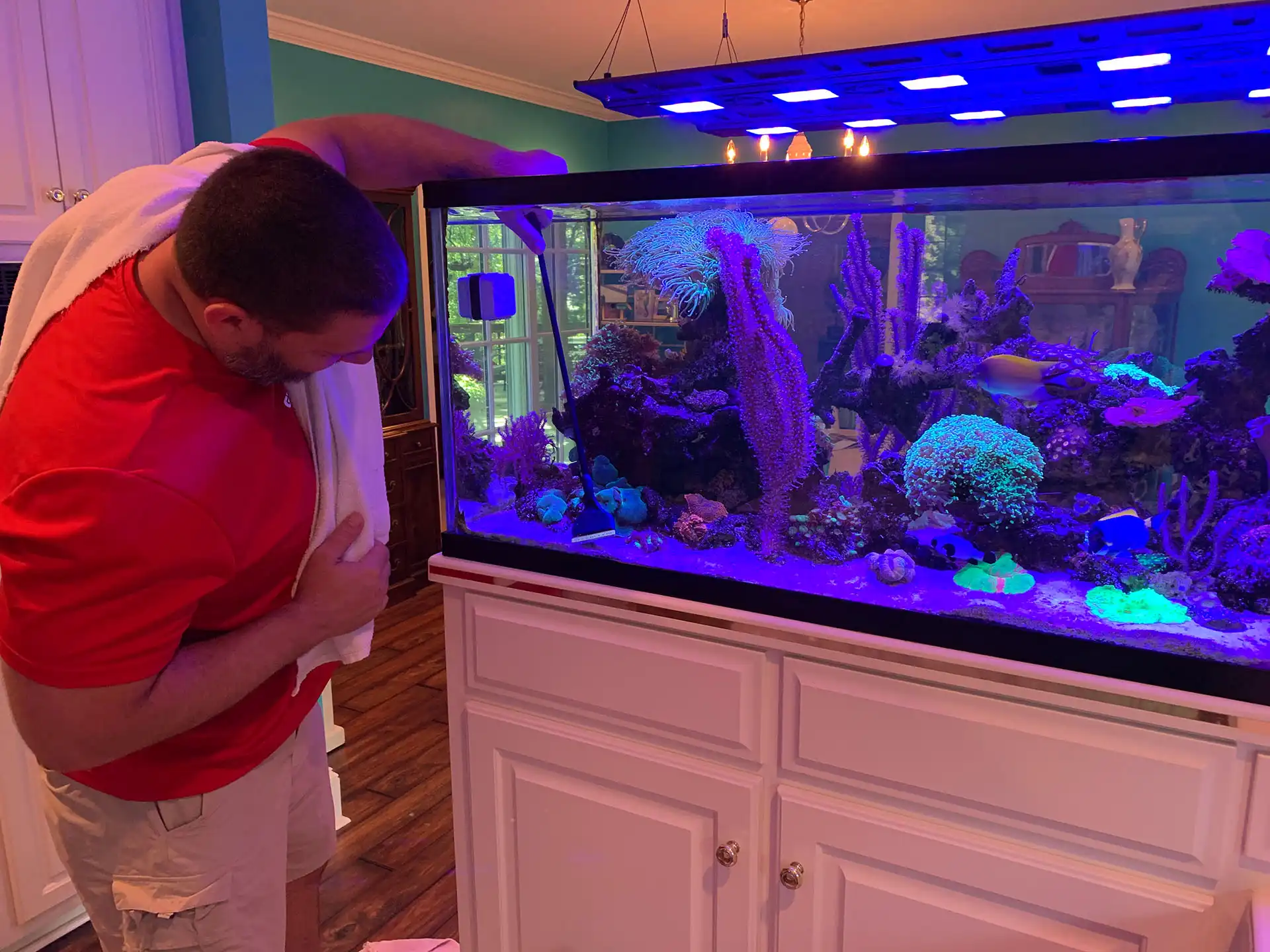 Saltwater aquarium receiving professional maintenance in Athens, Georgia